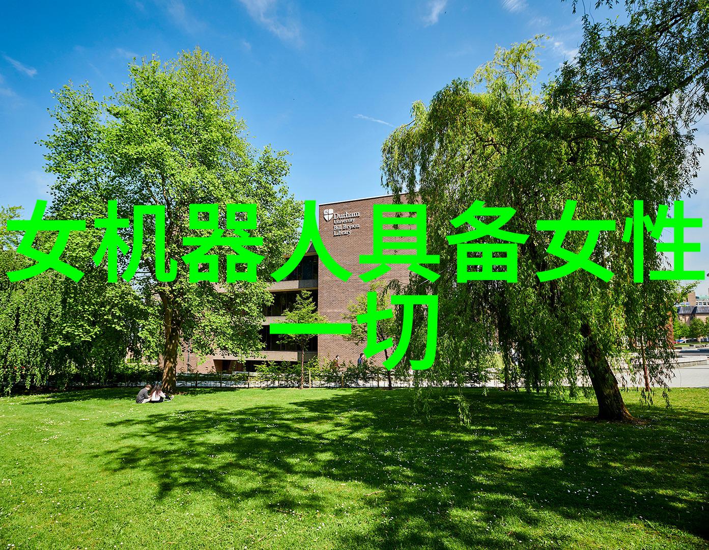 波纹丝网的秘密花园探索aspen填料的奇迹