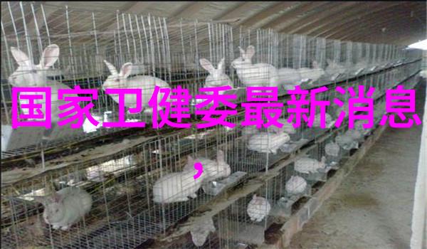 小型蒸汽发生器微型热力源的革命性创新