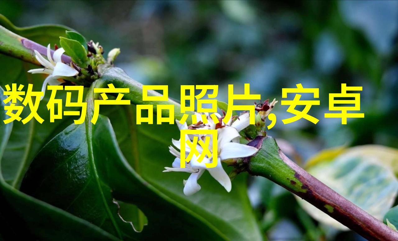 人的独特之处有哪些-人性的光辉揭秘我们独一无二的魅力
