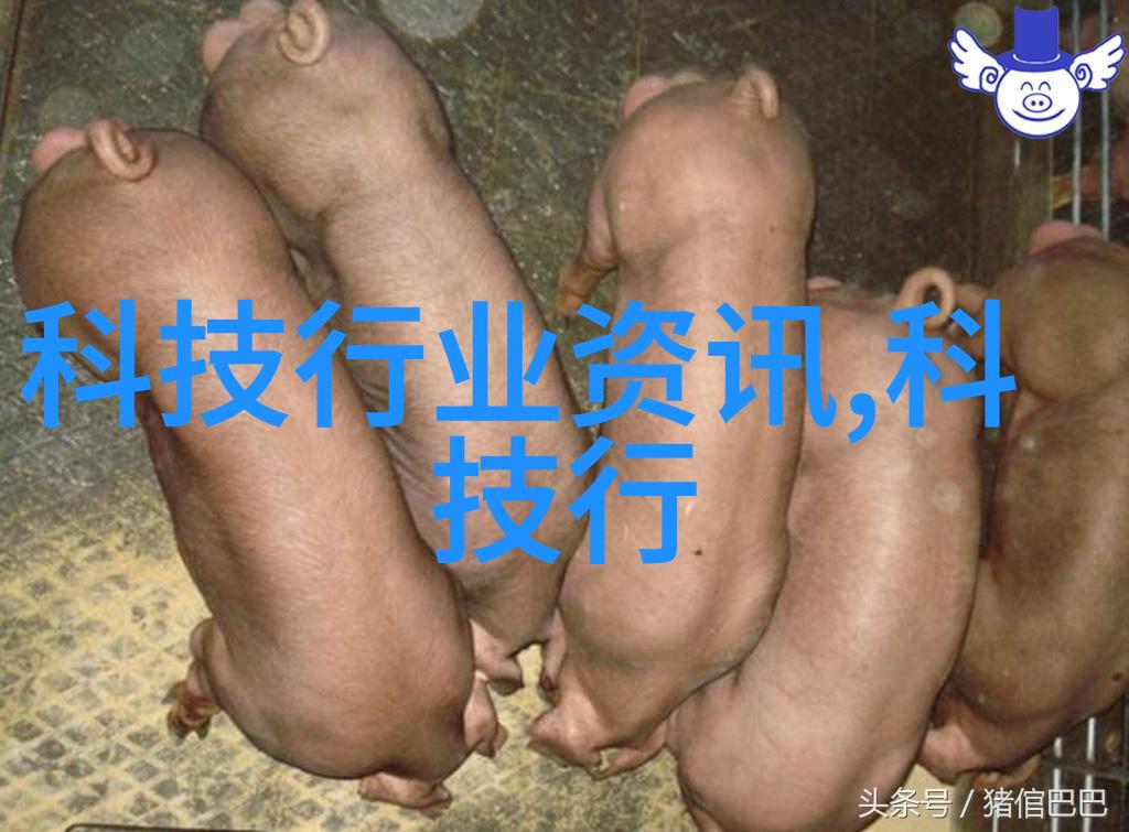 JLZZJLZZJLZ老师好多的水-教学之源JLZZJLZZJLZ老师的知识海洋