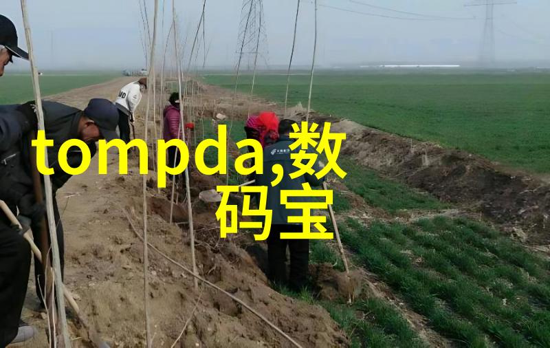 打报告技巧全解如何高效撰写出色的工作汇报