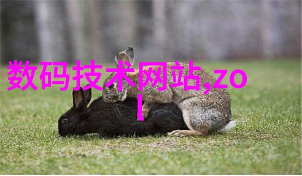 多功能流化床工作原理-液相反应器中的颗粒流动与物料转移机制