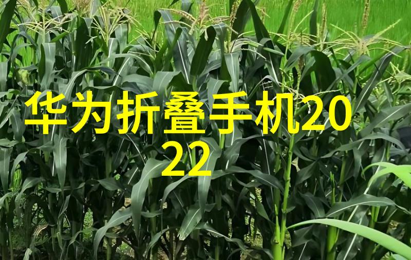 不锈钢填料的奥秘守护家居洁净之本