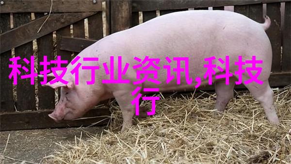 主题我这边的实验室仪器设备清单都整理好了