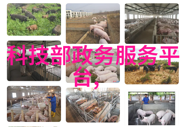 医院净水设备确保医疗洁净的生命线