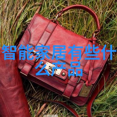 食品包装消毒设备高效的食品安全清洁机器