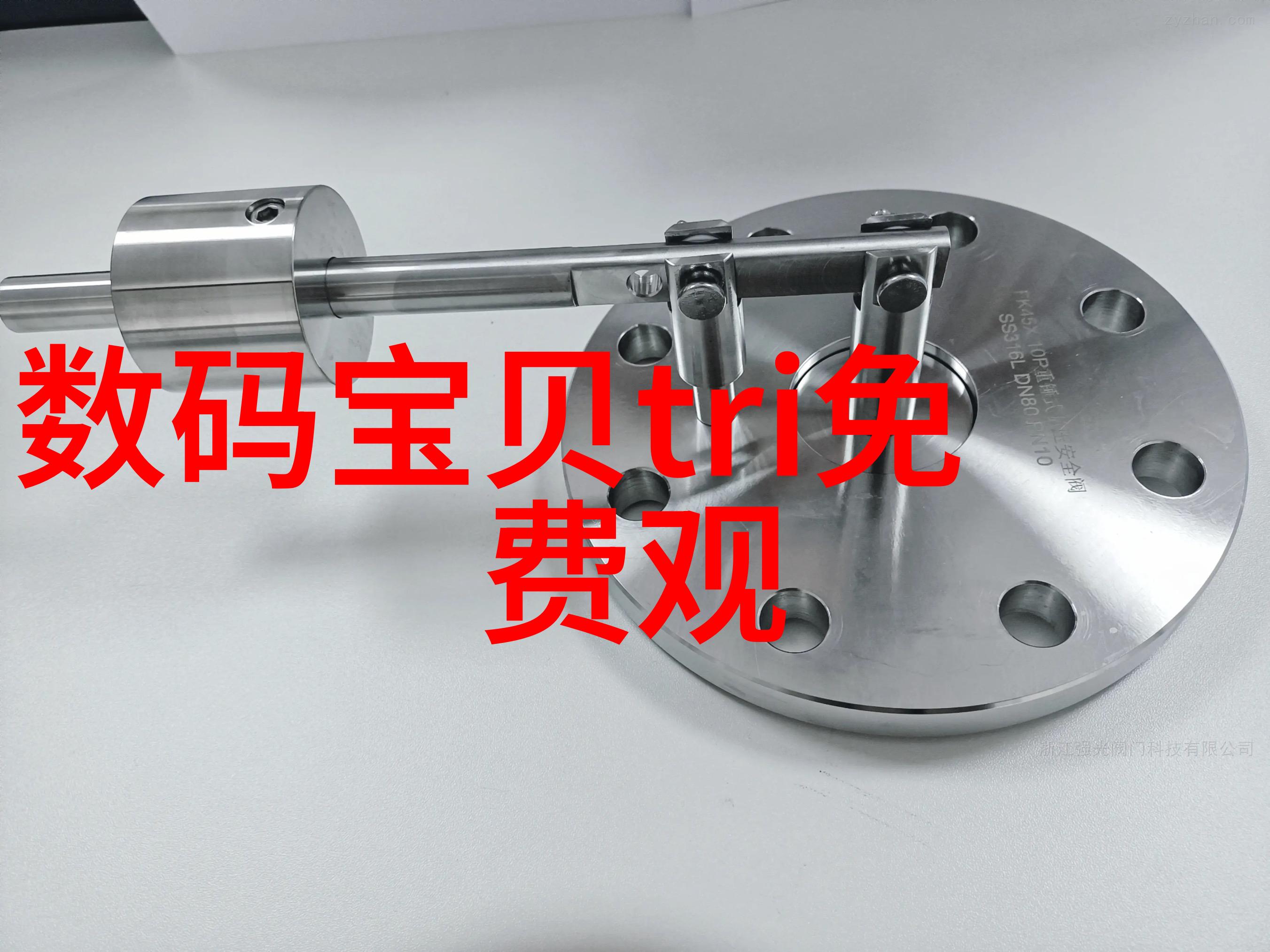 巴比伦王妃古巴比伦时期的女性贵族