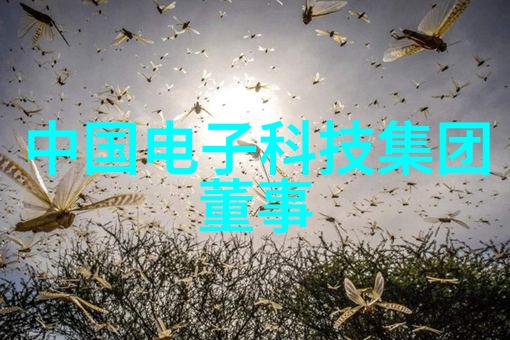 净化器水我的日常小伙伴
