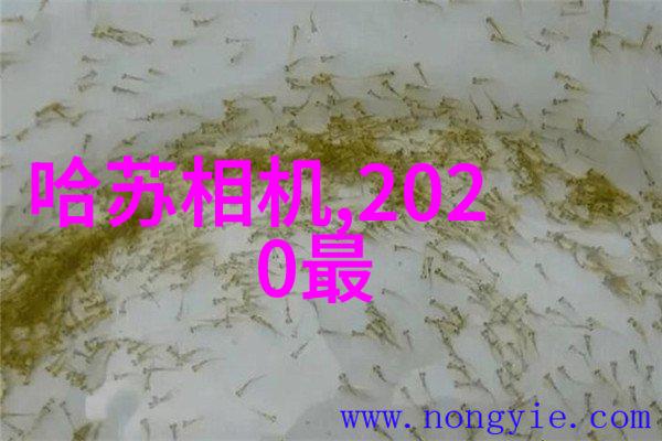 旅行必带物品各种类型旅途中的配件选择