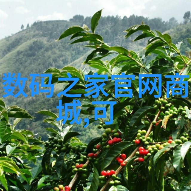 家具梦想从零到全屋定制之旅