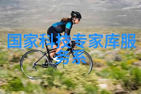 让数据说话北森职业能力测评在教育领域的革命性作用