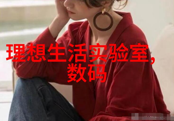 板式换热器原理探究基于流体动力学与传热机理的创新研究