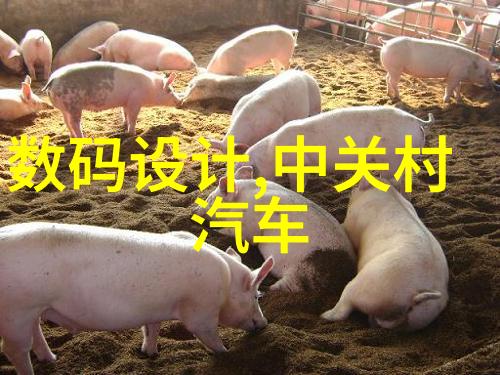 胶体磨的革命性作用在现代化矿山生产中的应用与发展