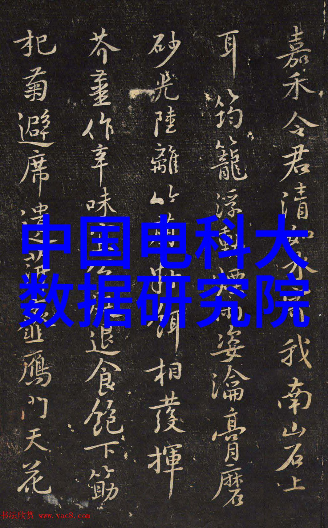 探索水质测定笔的实用性与应用前景