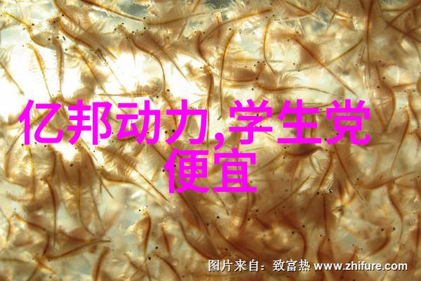 热风干燥设备我是如何用它来完美解决我的烘焙小窍门的