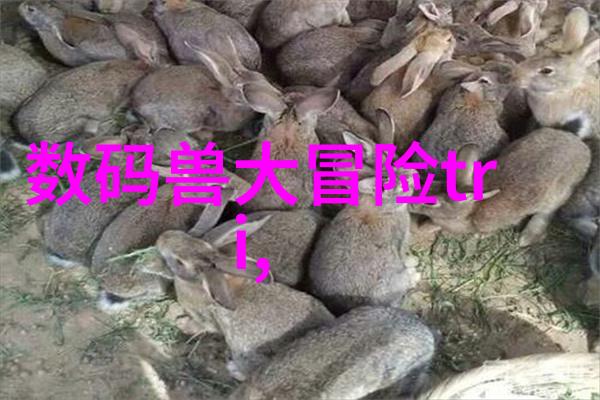 器械的演进从古代到现代