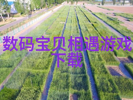 如何选择合适的管式反应器类型与规模