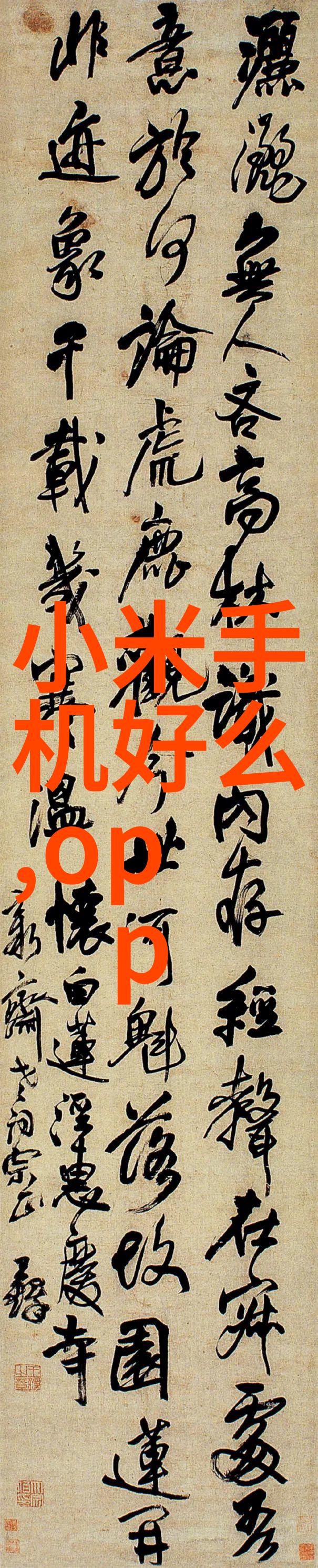 乌龟蹭扇贝一段温馨的海洋互动