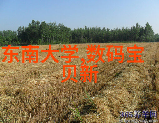 超純水設備後我會遇到什麼樣的问题或挑戰並且該如何解決這些問題呢