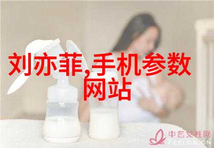 论中电信息科学研究院在网络安全领域的领导地位