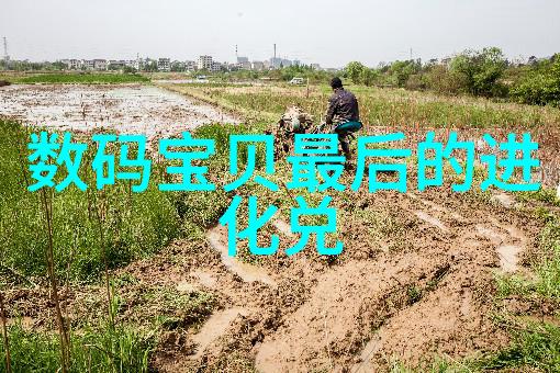 技术革新与市场需求未来十年的涂塑复合钢管发展趋势
