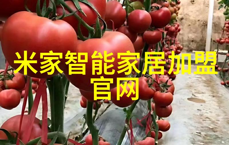 1499元买液晶电视 国美彩电促销汇总