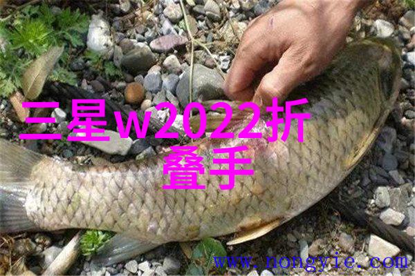 成人水电工培训从基础到高级技术技能