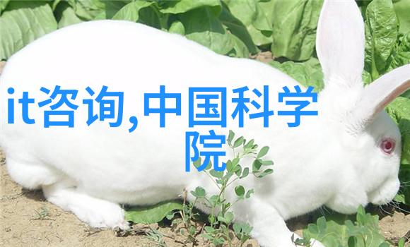 脱水机水分的守护者与生活的便利伙伴