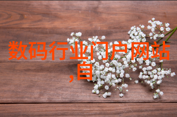 中国智能物流骨干网我是如何在物流新篇章中找到了智慧之路的