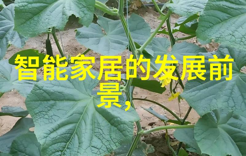 卫生阀的重要性保障生活水质的守护者