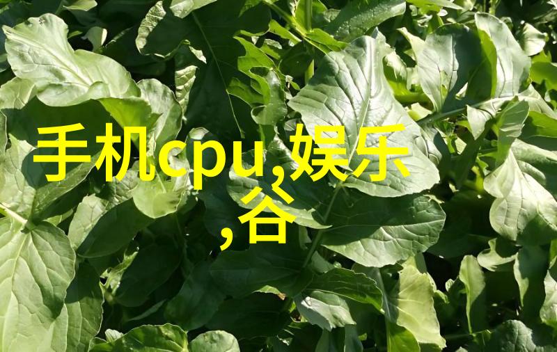 父母的身影亲情的力量与成长的见证