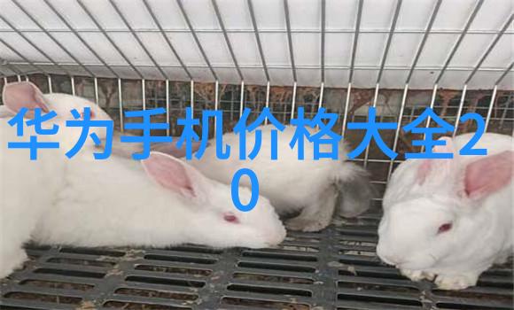 混乱的海洋中寻找秩序规整填料的力量