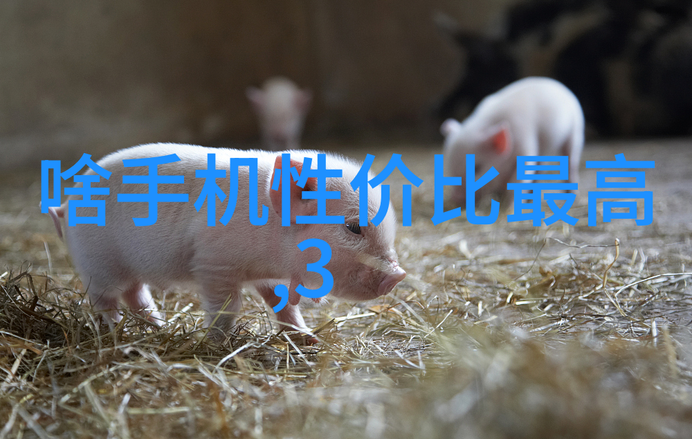 根茎下的学长一段温馨的写作业视频故事