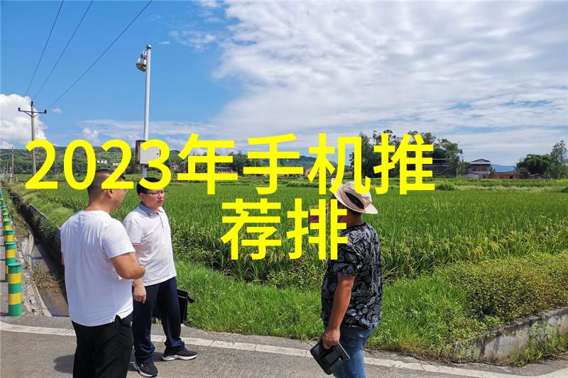 太阳落日前的小说追寻光辉的边际