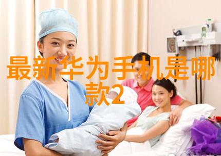 冰冷的守望者寒冬中的温暖