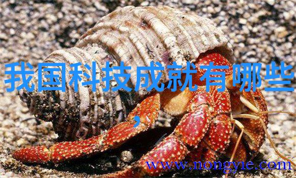 氯乙醇在医药领域的作用及其安全性评估