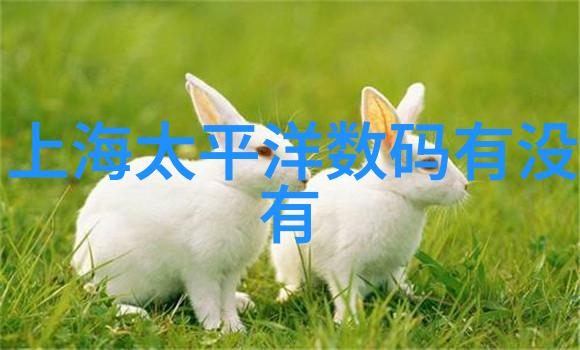 智能手环的健康管理应用从监测到预警