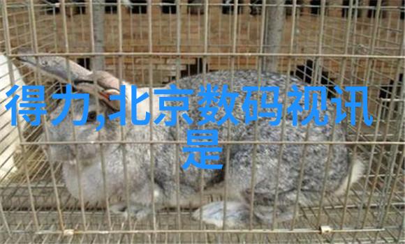 市场动态追踪不锈钢板最新价格走势分析