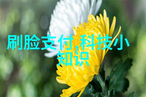 空压机油水分离器的安装指南