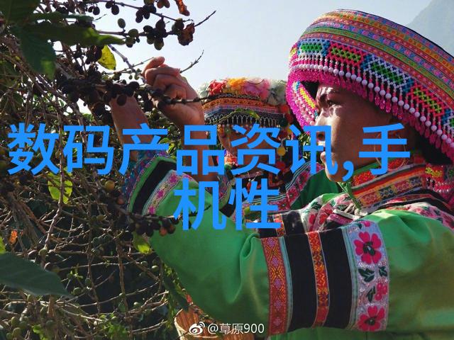 卫生阀水源安全的守护者