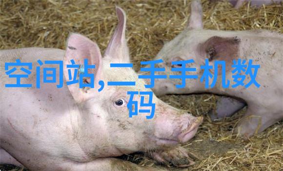 空压机油水分离器的正确安装步骤