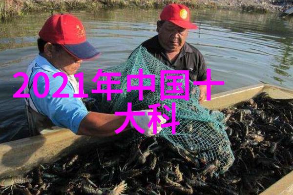 霞姐夜生活女王都市晚安时分的社交场合