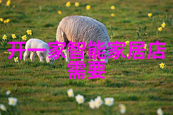 寻宝之旅揭秘最佳轿车配件购物网站