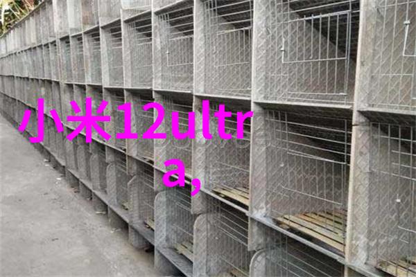 材料的耐久之谜填料的时间游戏