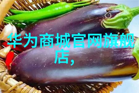 热风干燥设备的应用与优化策略