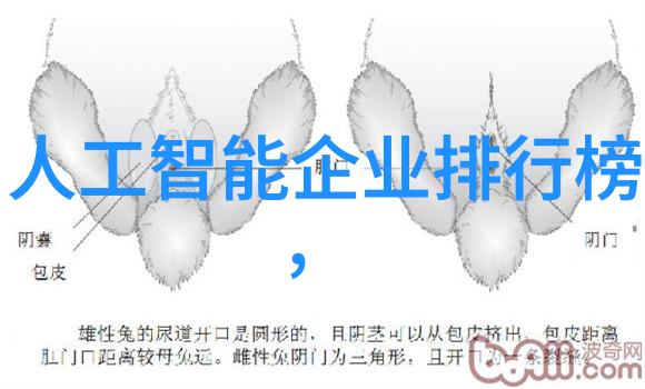 汽车配件图鉴解锁您的爱车潜能