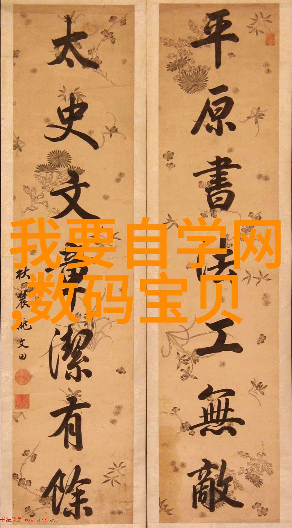 家中的宠物一只忠实的伴侣