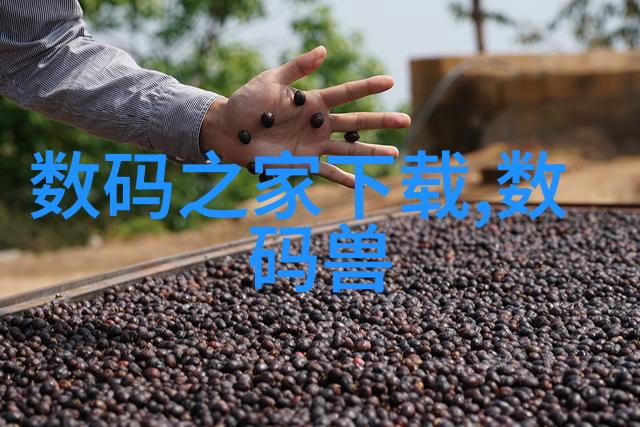 如果森林有童话我在这里遇见了最美的奇迹