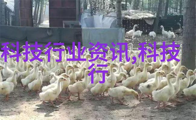 化工注射剂机械的精确控制与安全操作