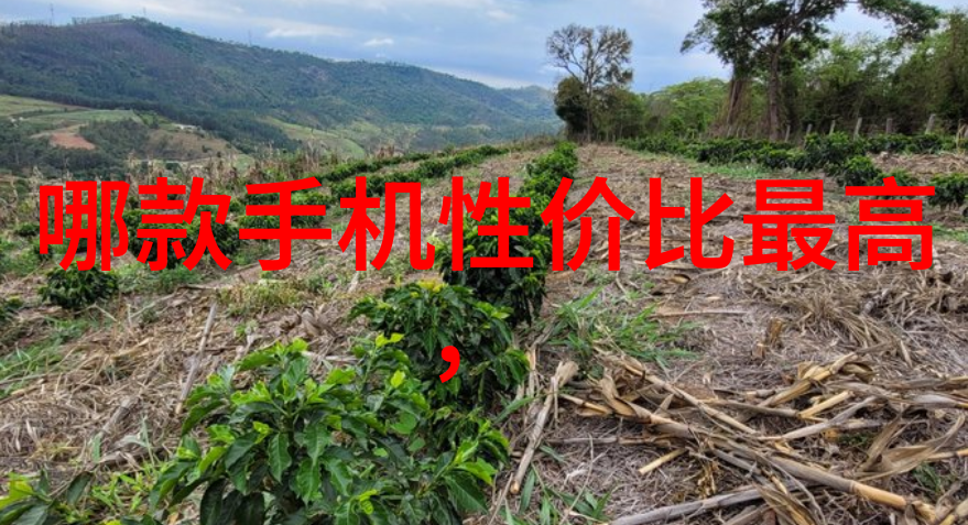 狭小空间大气范小户型装修设计公司的反差艺术